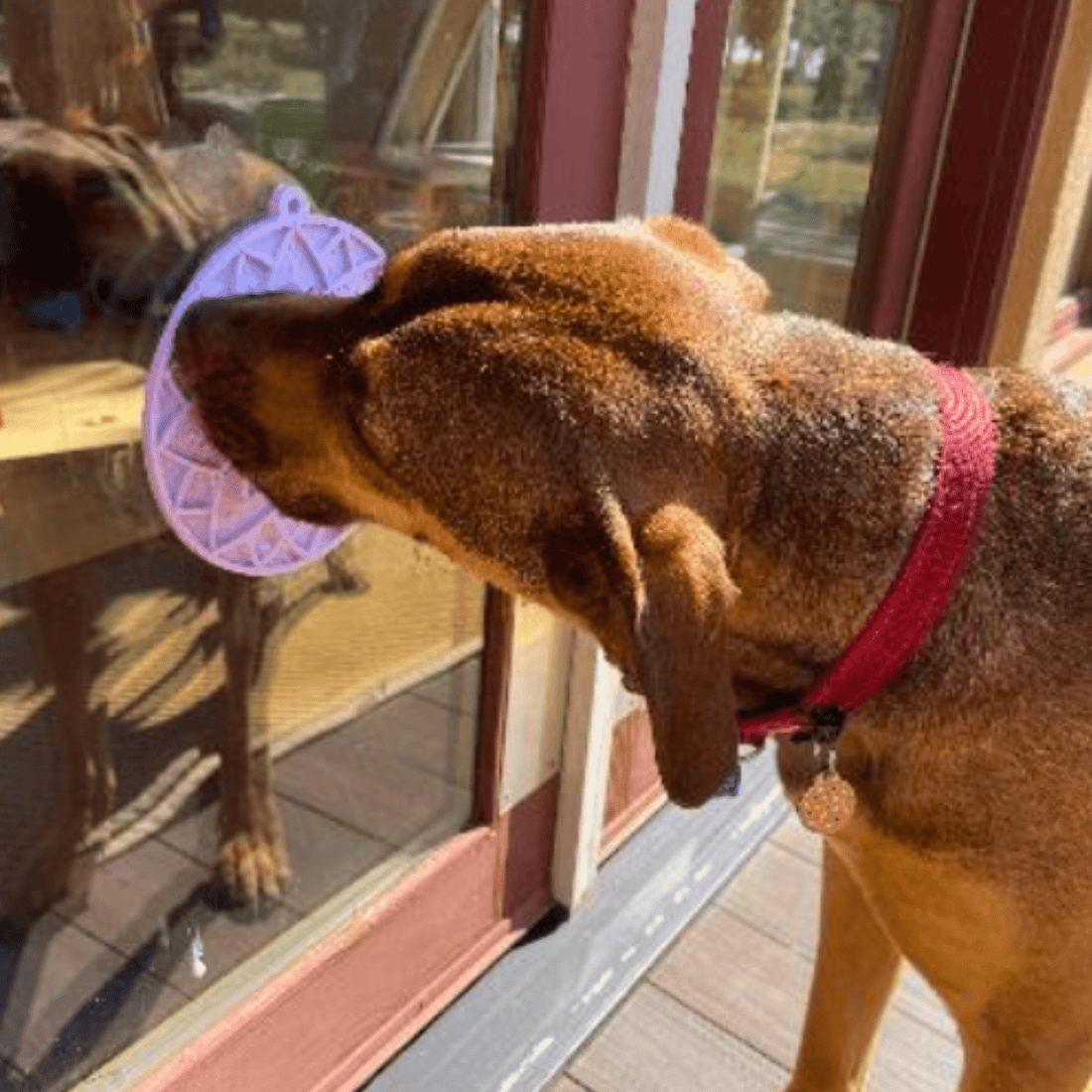 Purple Farm To Pet round dog lick mat with suction cups, designed for dogs to lick and enjoy treats.