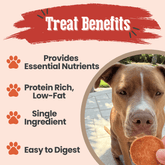All-natural turkey chips for dogs by Farm To Pet, single-ingredient healthy dog treats in a 4oz bag.