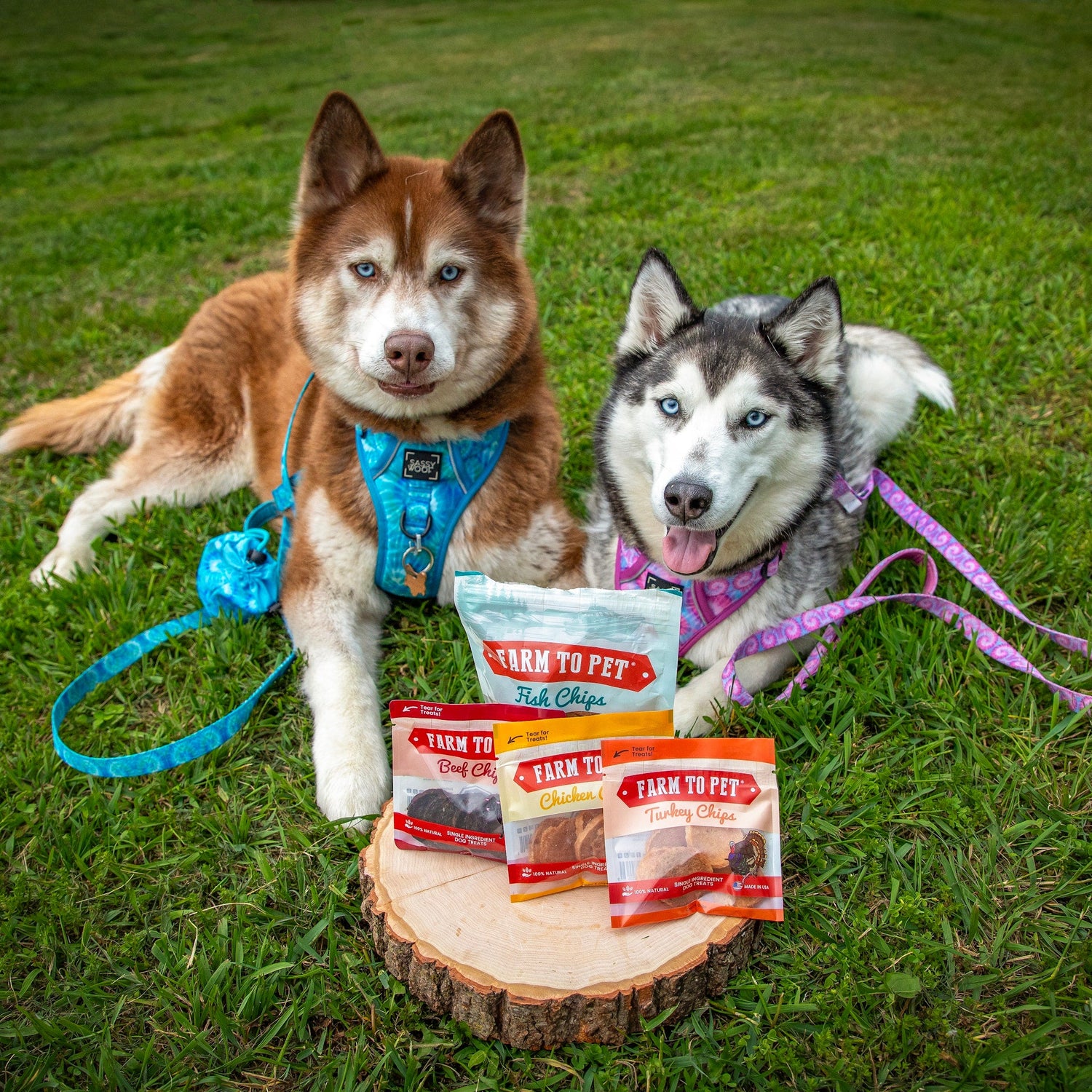Puppy Packs &