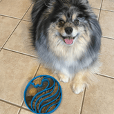 Blue Farm To Pet slow feeder dog bowl with wave design, designed to slow down eating for dogs.