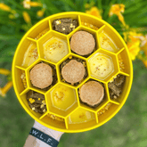 Yellow Farm To Pet slow feeder dog bowl with honeycomb design, made to slow down eating for dogs.