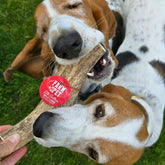 Large split elk antler dog chew from Farm To Pet, all-natural organic elk antler chew for dogs, showing the textured split surface.