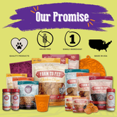 Farm To Pet heart-shaped dog treat mold for making healthy, single-ingredient pet treats, with Halloween-themed design.