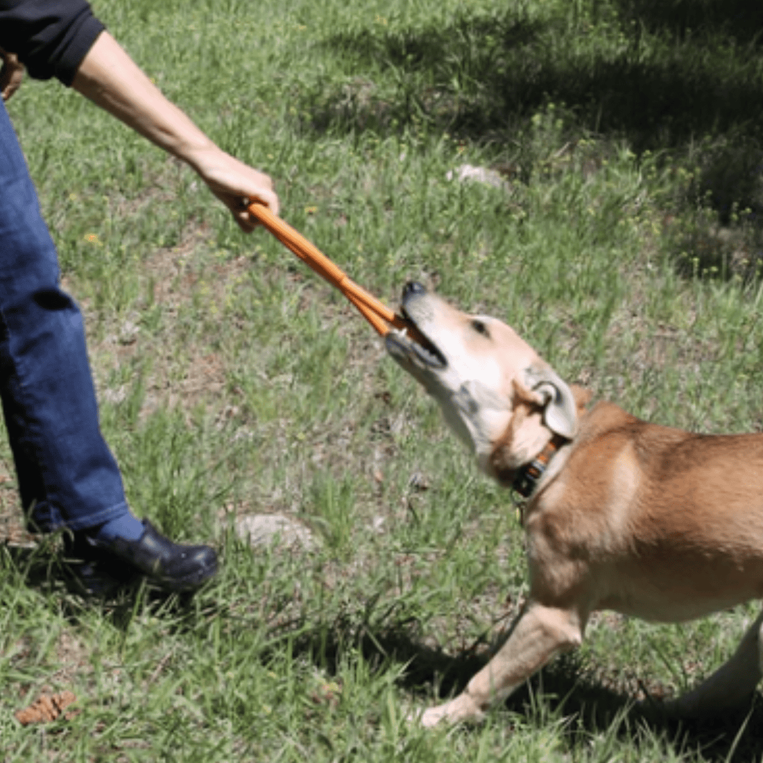 Farm To Pet tug toy in bright orange for dogs, designed for tug-of-war play and chewing fun.