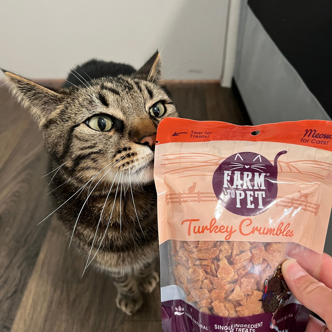 Farm To Pet turkey crumbles for cats, grain-free cat treats, with a cat looking at the front of the bag.