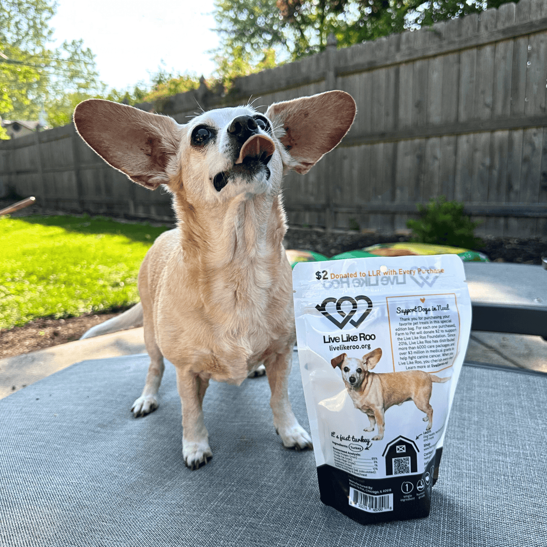 Farm To Pet Live Like Roo Turkey Chips for Dogs in 4oz bag, natural dog treats made from turkey, with a focus on giving back.