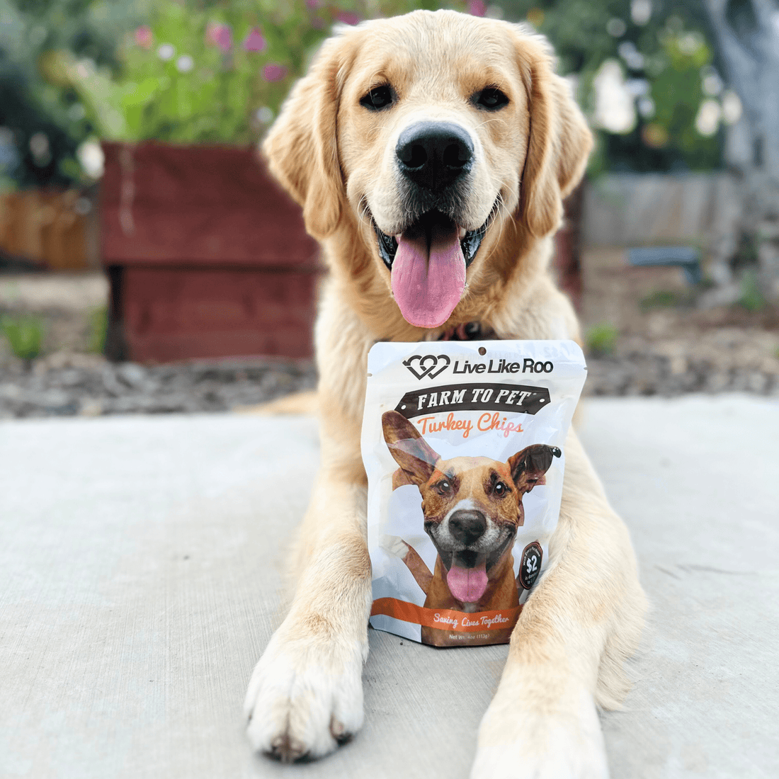 Farm To Pet Live Like Roo Turkey Chips for dogs, 4oz bag, featuring a happy dog enjoying crunchy turkey treat chips.