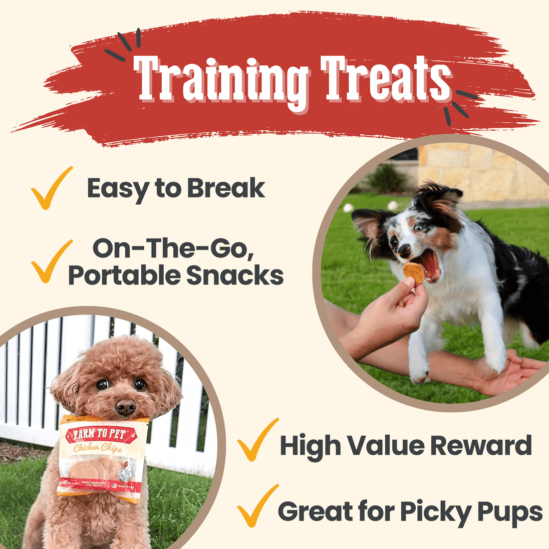 Farm To Pet Chicken Chips Snack Pack with dog treats, featuring small chicken chips for training or dog party favors.