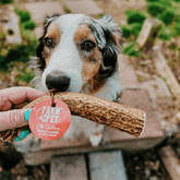 Large organic elk antler dog chew by Farm To Pet, featuring a whole and split natural antler for dogs&