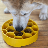 Yellow Farm To Pet slow feeder dog bowl with honeycomb design, designed to slow feeding and promote healthy eating for dogs.