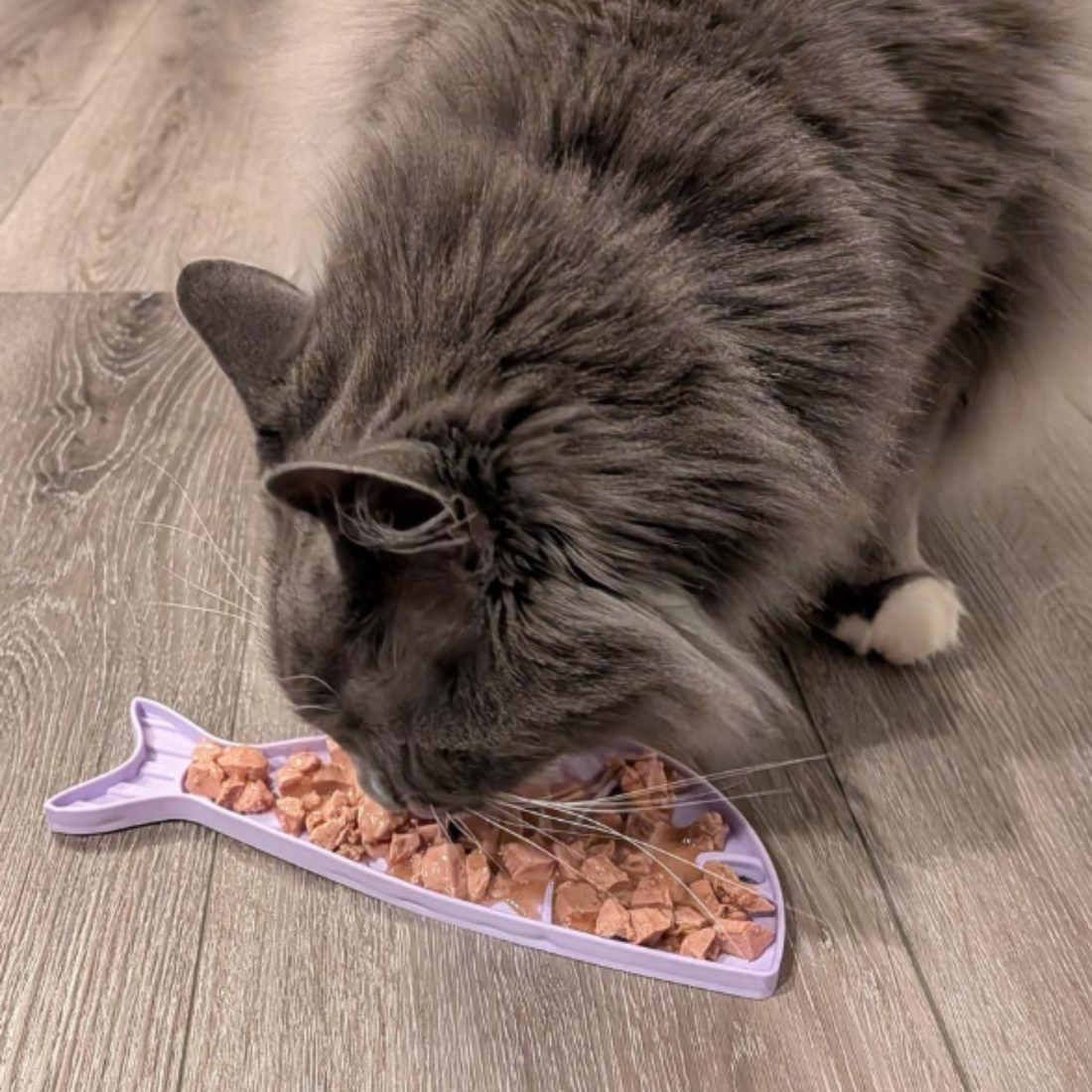 Close-up of Farm To Pet goldfish-themed lick mat for cats and small dogs, showing textured surface for treats and enrichment.