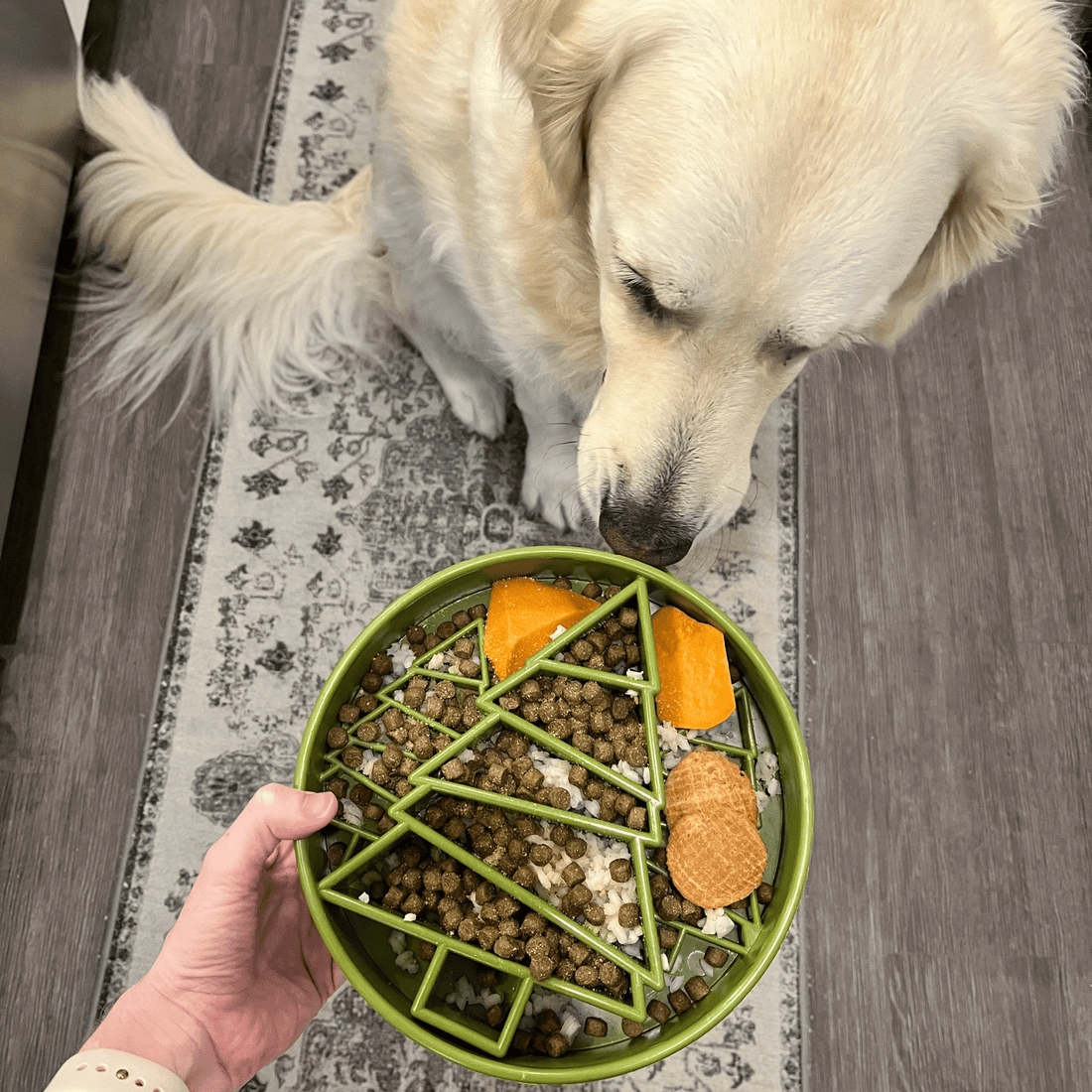 Green slow feeder dog bowl from Farm To Pet, designed to slow eating and reduce digestion issues for dogs.