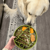 Green slow feeder dog bowl from Farm To Pet, designed to slow eating and reduce digestion issues for dogs.