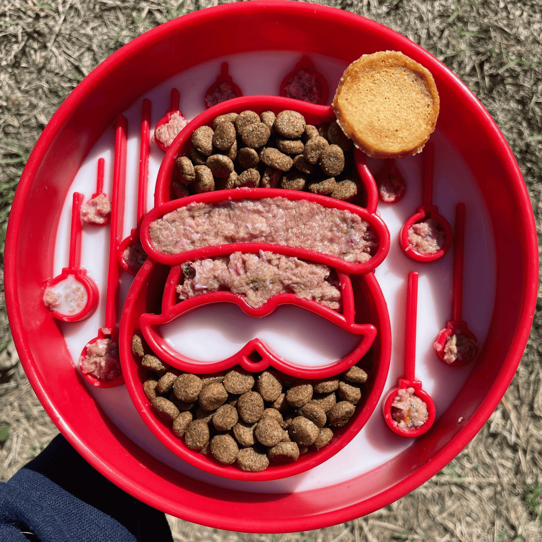 Red Santa-themed slow feeder dog bowl by Farm To Pet with holiday design, perfect for slowing down feeding for dogs.