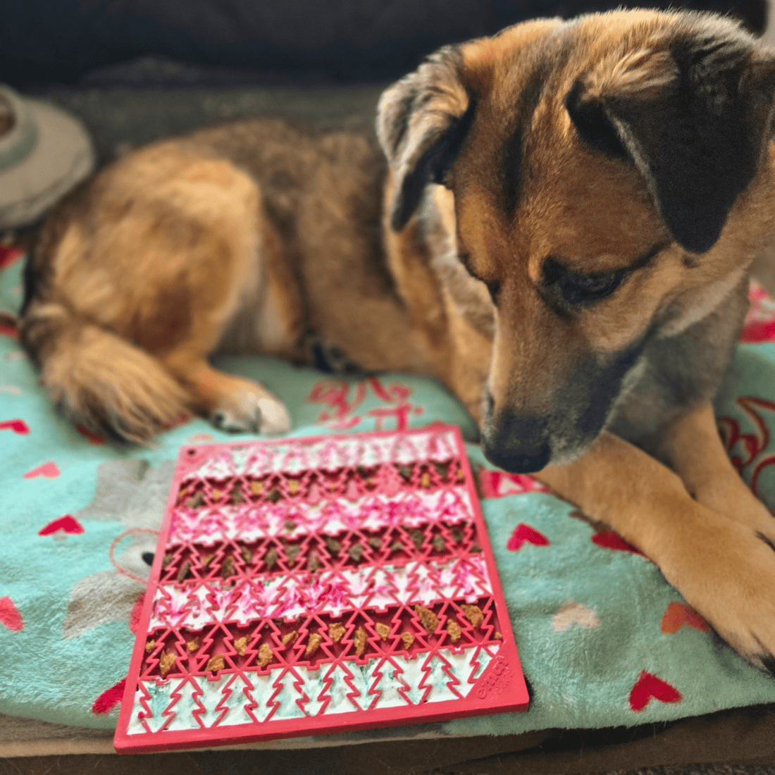 Red Farm To Pet dog lick mat with textured surface, designed for dogs&
