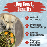 Farm To Pet slow feeder dog bowl with a tree design, ideal for preventing dogs from eating too quickly.