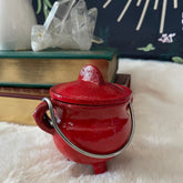 Evermore Everlasting cast iron cauldron with lid, sturdy black cooking pot perfect for traditional and outdoor use