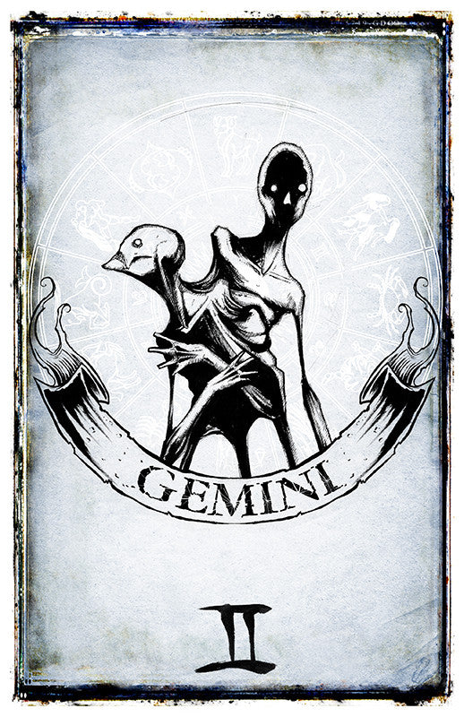 Gemini zodiac sign poster featuring artwork by Shawn Coss, with detailed illustration of the Gemini symbol and imagery on a poster print.