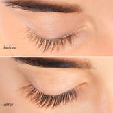 Maree Lash & Brow Growth Serum bottle with applicator, designed to enhance eyelash and eyebrow length and fullness.