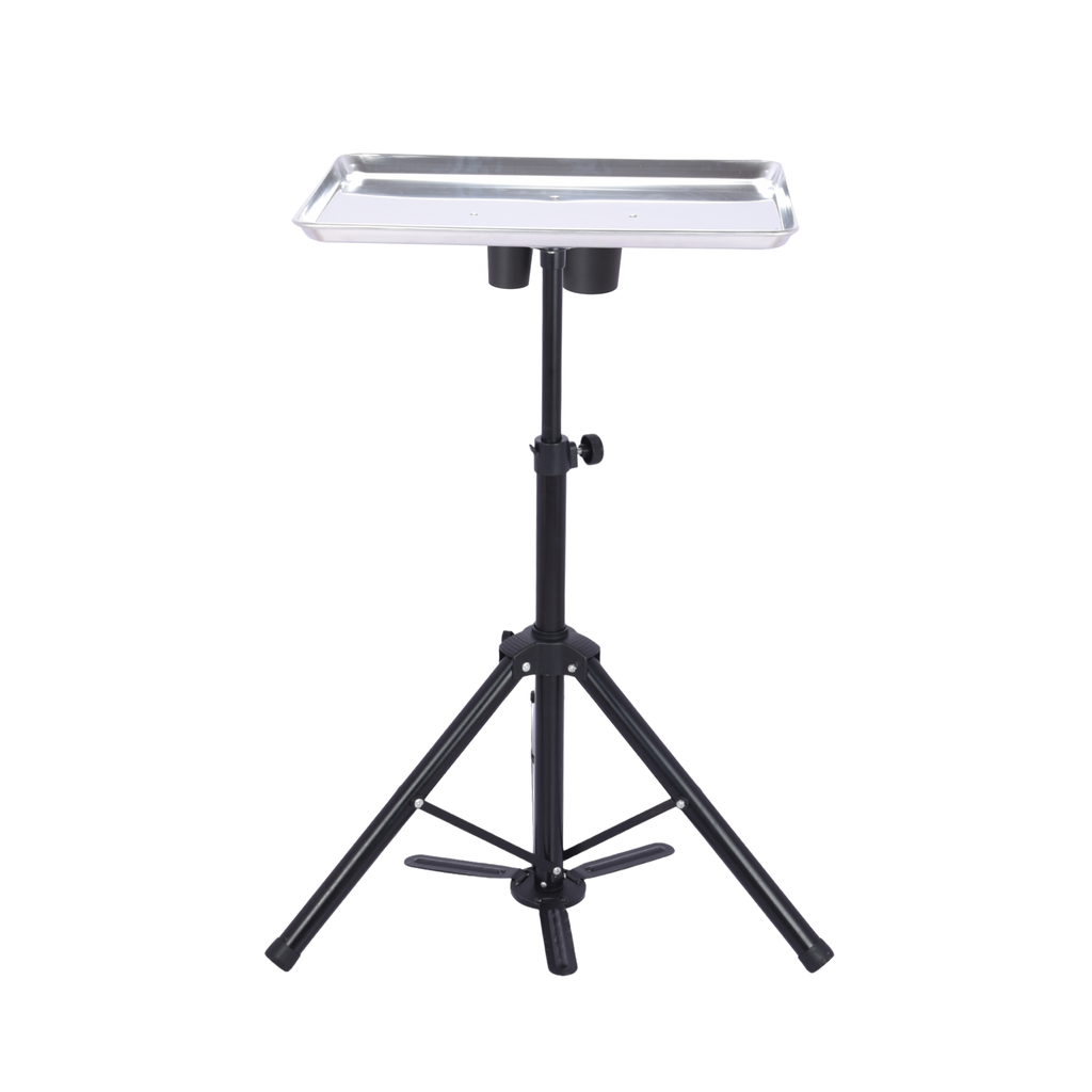 Portable Mobile Tray with Carry Bag