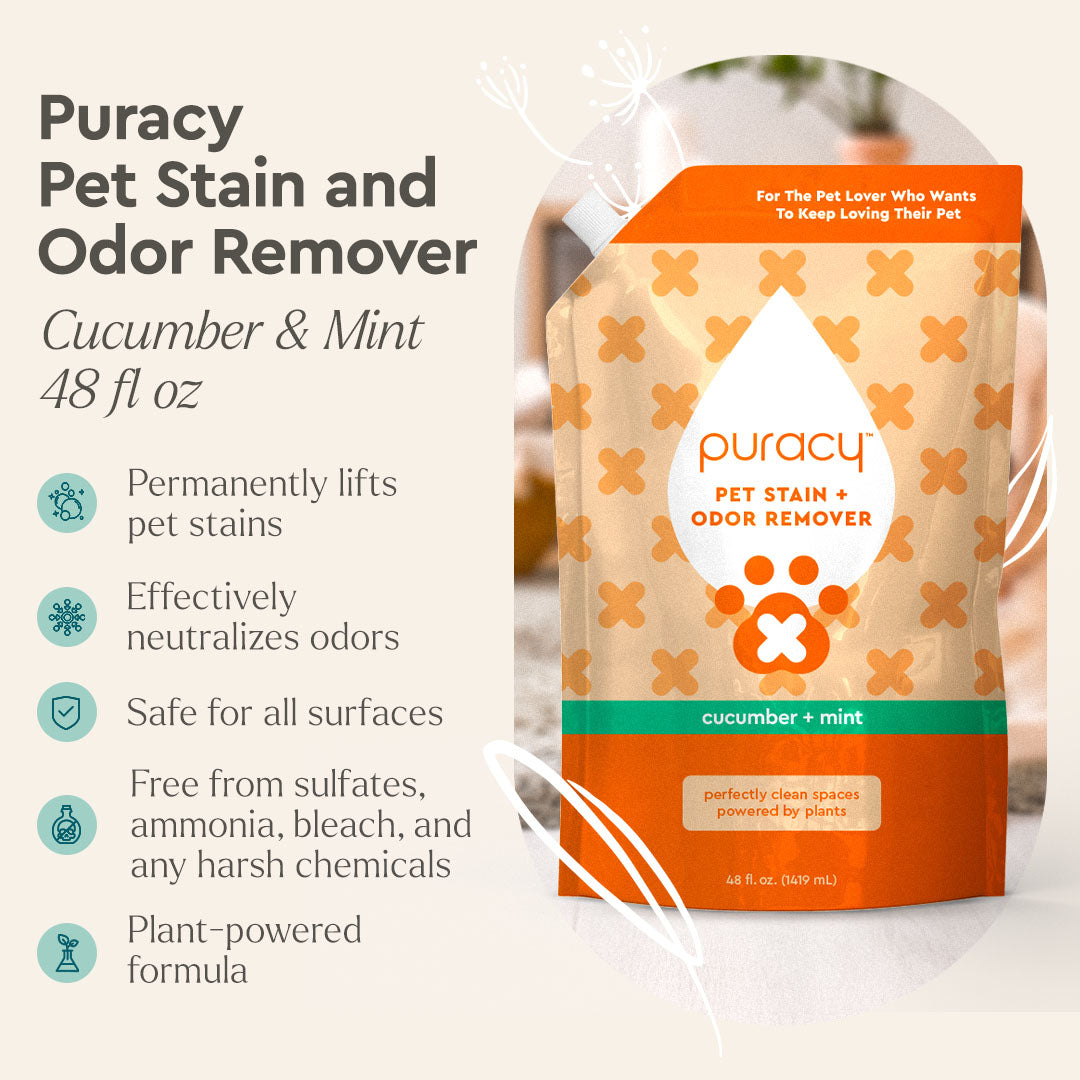 Puracy pet stain and odor remover bottle with spray nozzle, designed for cleaning pet stains on carpets and upholstery.