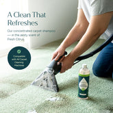 Puracy Carpet and Upholstery Shampoo bottle, showcasing a cleaning product designed for carpets and furniture.