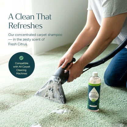 Carpet &amp; Upholstery Shampoo