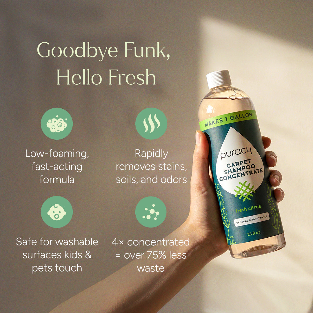 Puracy Carpet &amp; Upholstery Shampoo bottle next to a clean carpet and upholstered furniture, showcasing deep cleaning formula.
