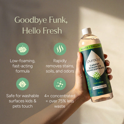 Carpet &amp; Upholstery Shampoo