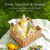 Puracy dish soap bottle with yellow Yuzu scent, clear label, and pump dispenser on a white background.