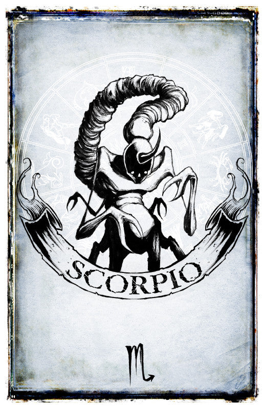 Scorpio zodiac sign poster featuring detailed artwork, part of Shawn Coss&