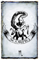 Scorpio zodiac sign poster featuring detailed artwork, part of Shawn Coss&