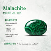 Malachite phoenix sculpture by Conscious Items, a striking home decoration with vibrant green stone and intricate design.
