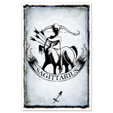 Zodiac-themed poster featuring Shawn Coss artwork, 11x17 inch print showcasing zodiac symbols and designs.