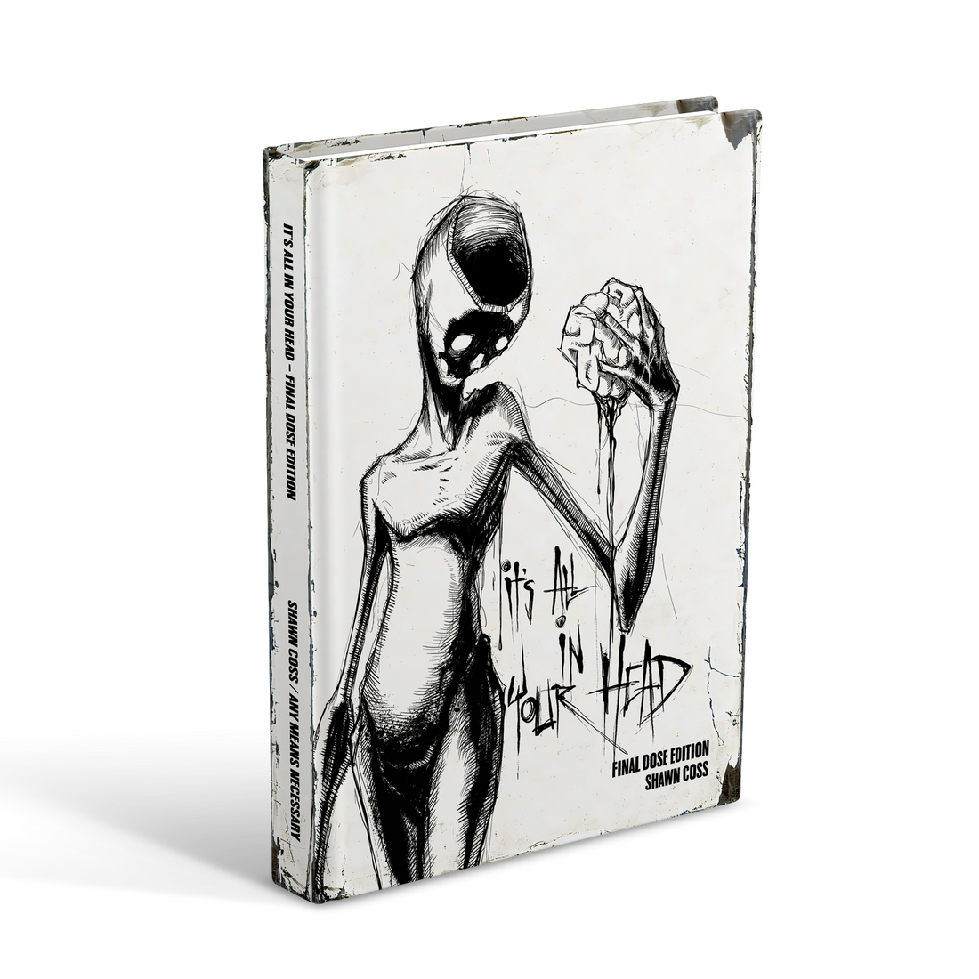 All In Your Head Vol 3 art book by Any Means Necessary Clothing, featuring creative illustrations on the cover.