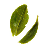 Single estate Pi Lo Chun green tea leaves from Rare Leaves Emerald by August Uncommon Tea, showcasing fresh, vibrant green tea leaves.
