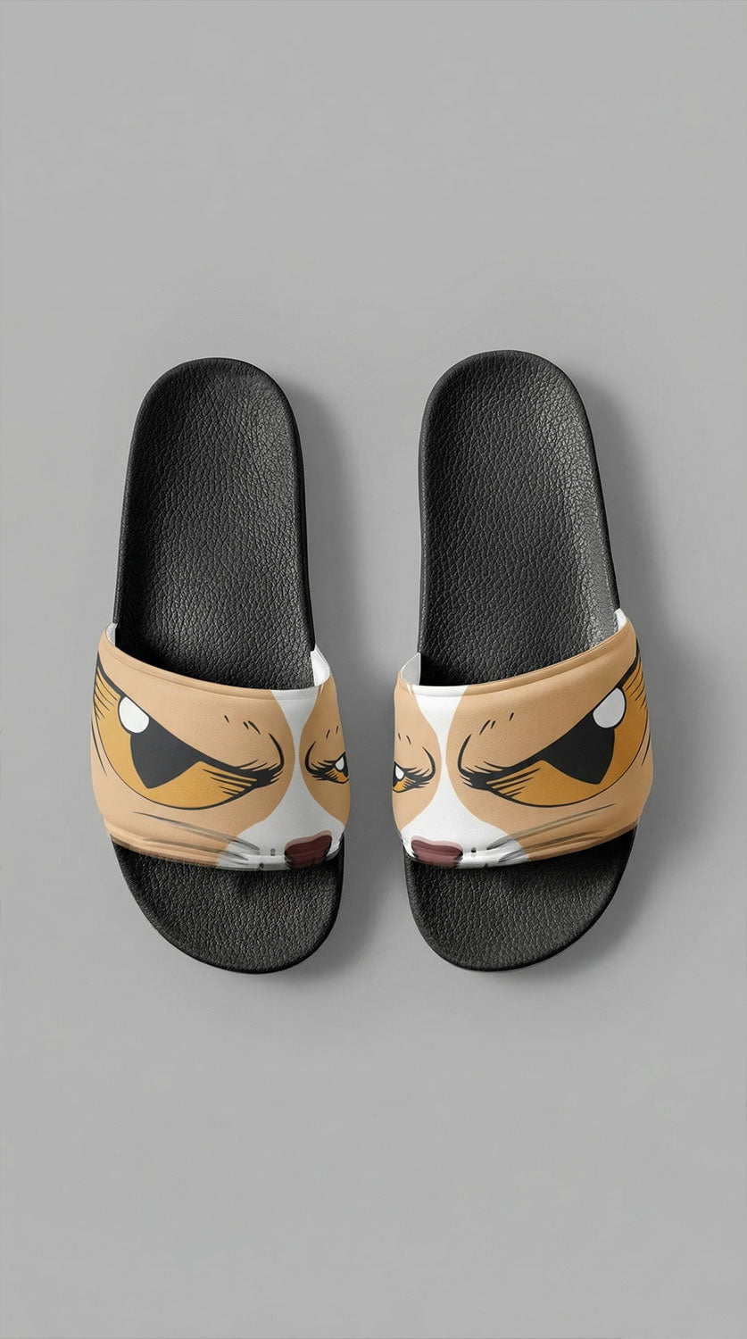 Scary Cat Eyes Slides