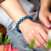 Royal blue tiger&