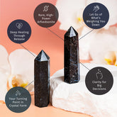 Rare Arfvedsonite crystal point, home decor decoration by Conscious Items, showcasing a striking dark mineral specimen.