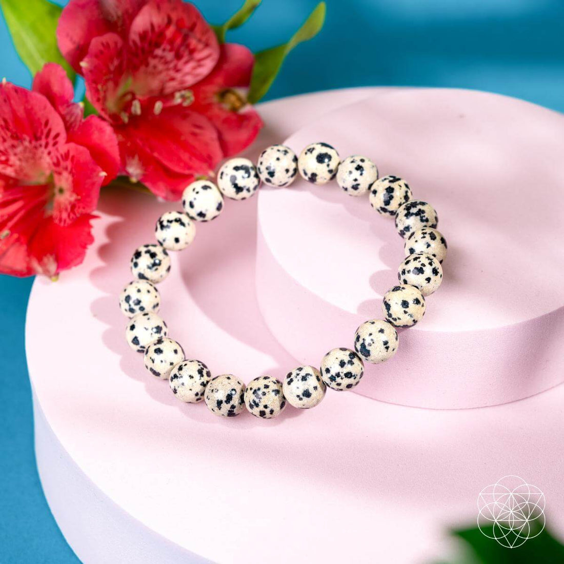 Dalmatian Jasper bracelet from Conscious Items featuring natural stone beads with black and white spotted pattern.
