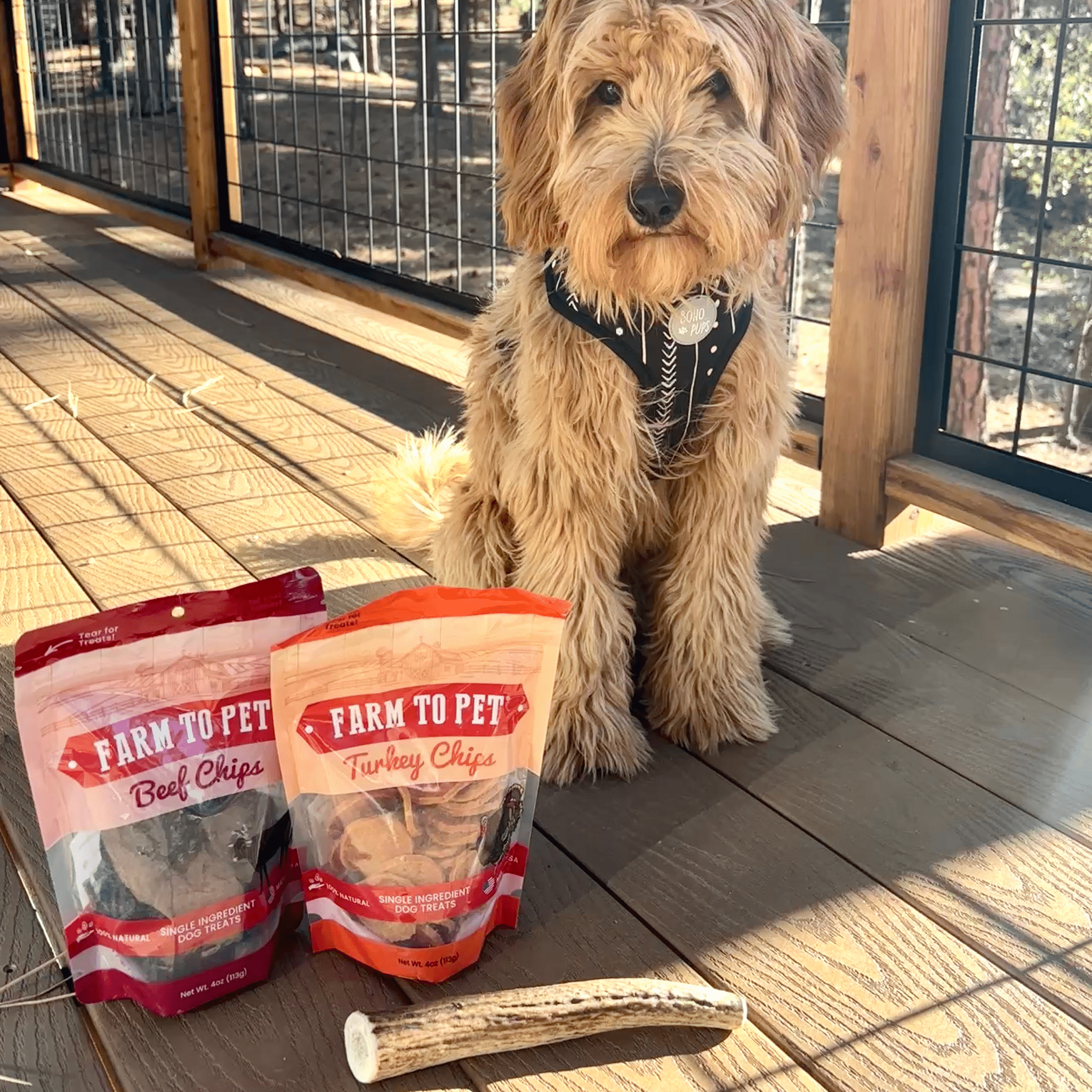 Large organic reindeer antler dog chew from Farm To Pet, non-splintering natural antler for strong, healthy dogs.