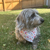 Farm To Pet adjustable tie-on dog bandana with chip lover design, suitable for dogs and cats, featuring a stylish, easy-to-attach pattern.