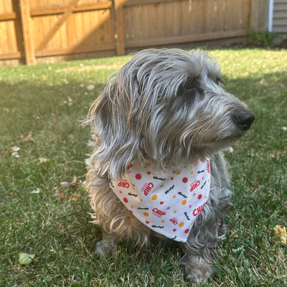 Farm To Pet adjustable tie-on dog bandana with chip lover design, suitable for dogs and cats, featuring a stylish, easy-to-attach pattern.