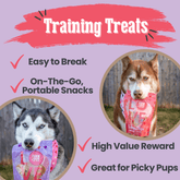 Farm To Pet Puppy Love Dog Treat Duo featuring poultry chip variety pack with chicken and turkey training treats for dogs.