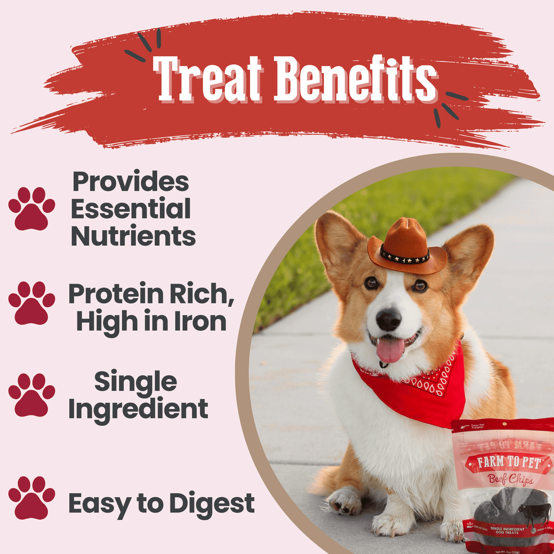 Farm To Pet beef chips dog treats in a 4oz bag, single-ingredient healthy beef dog treats, crispy and natural dog snack