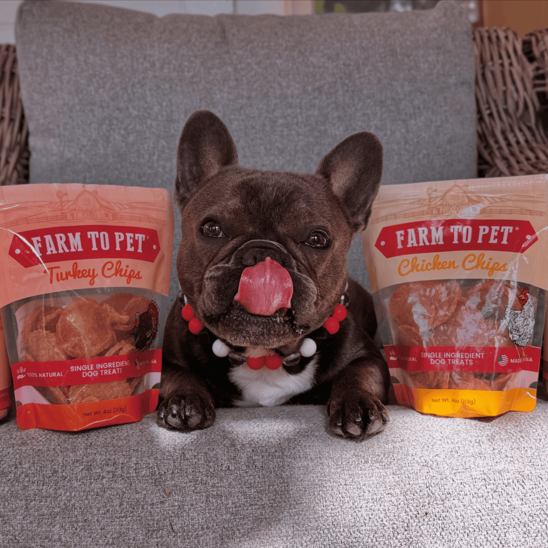 Farm To Pet turkey and chicken chip dog treats duo, nutrient-rich single-ingredient poultry treats in a 4oz package