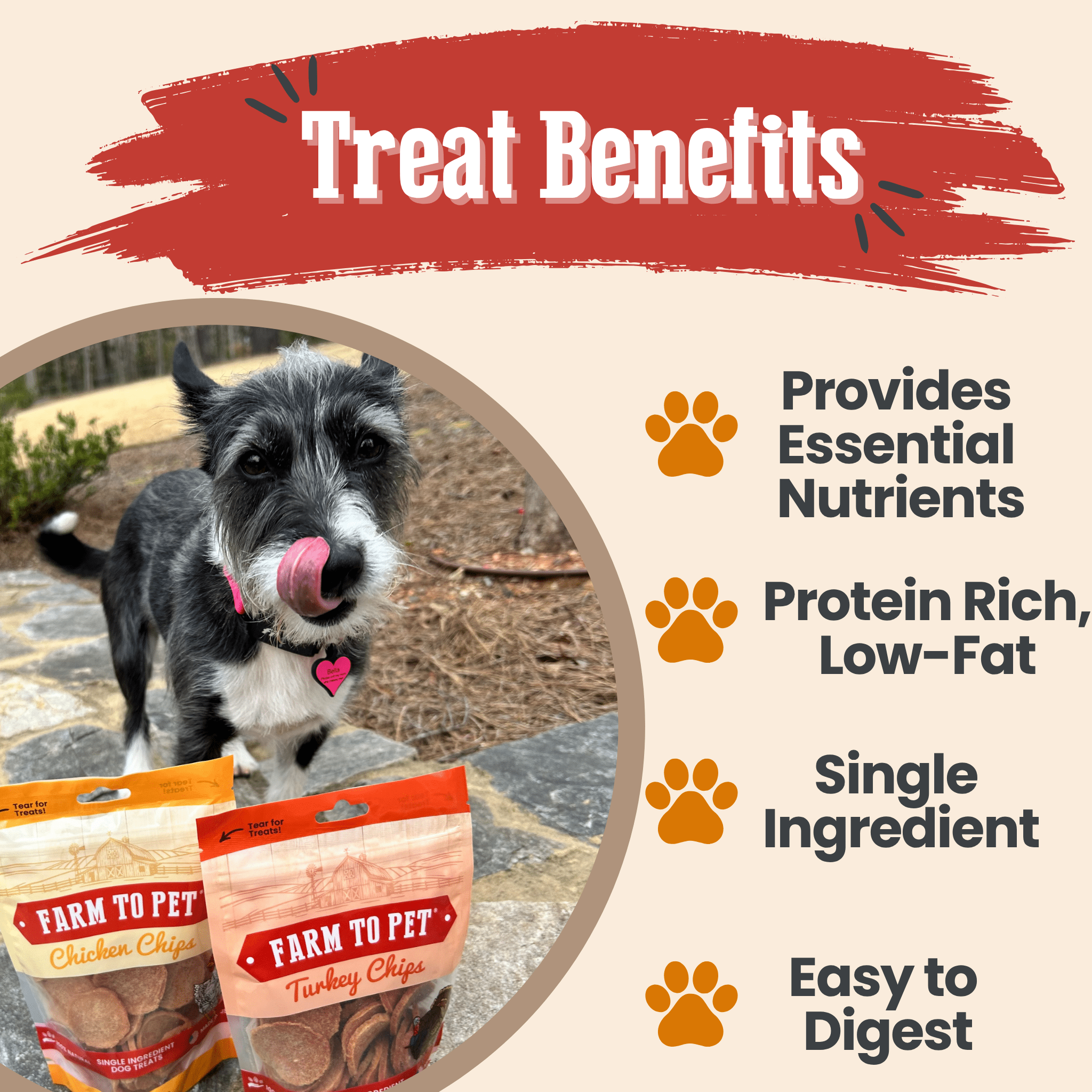 Farm To Pet turkey and chicken chip dog treats duo, nutrient-rich single-ingredient poultry treats for dogs in a 4oz package.