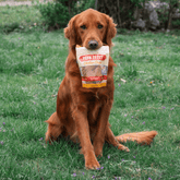 Farm To Pet chicken chips for dogs, all-natural single-ingredient dog treats in a 4oz bag, showing crispy chicken chip treats.