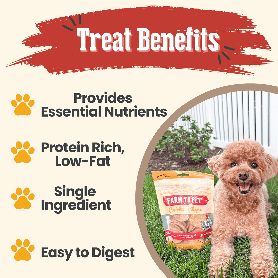 Farm To Pet chicken chips for dogs, 4oz all-natural single-ingredient dog treats, crispy chicken treat chips for pets