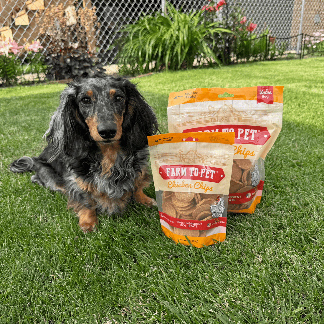 Farm To Pet chicken chips for dogs, all-natural single-ingredient dog treats in a 4oz bag, showing crispy chicken chip treats.